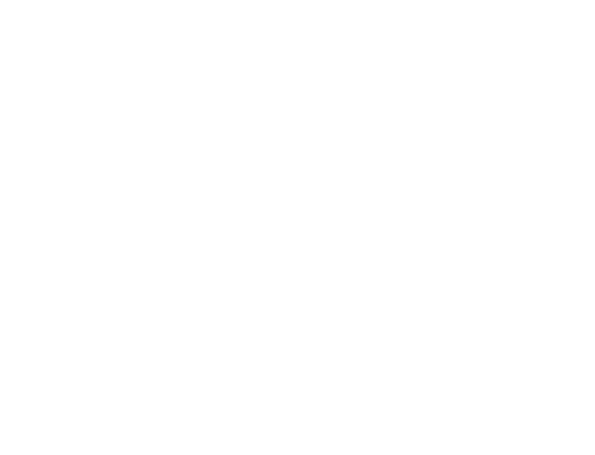 MLM Binary Plan