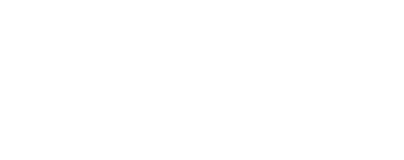 MLM Binary Plan