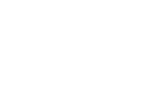 MLM Binary Plan