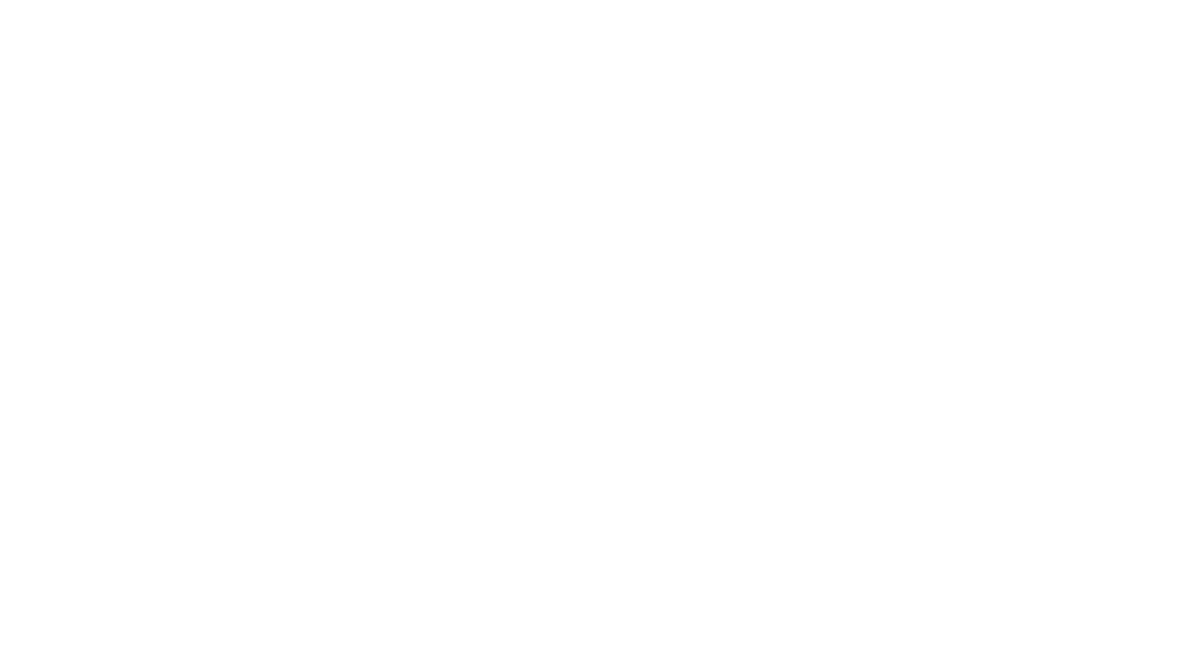 MLM Binary Plan