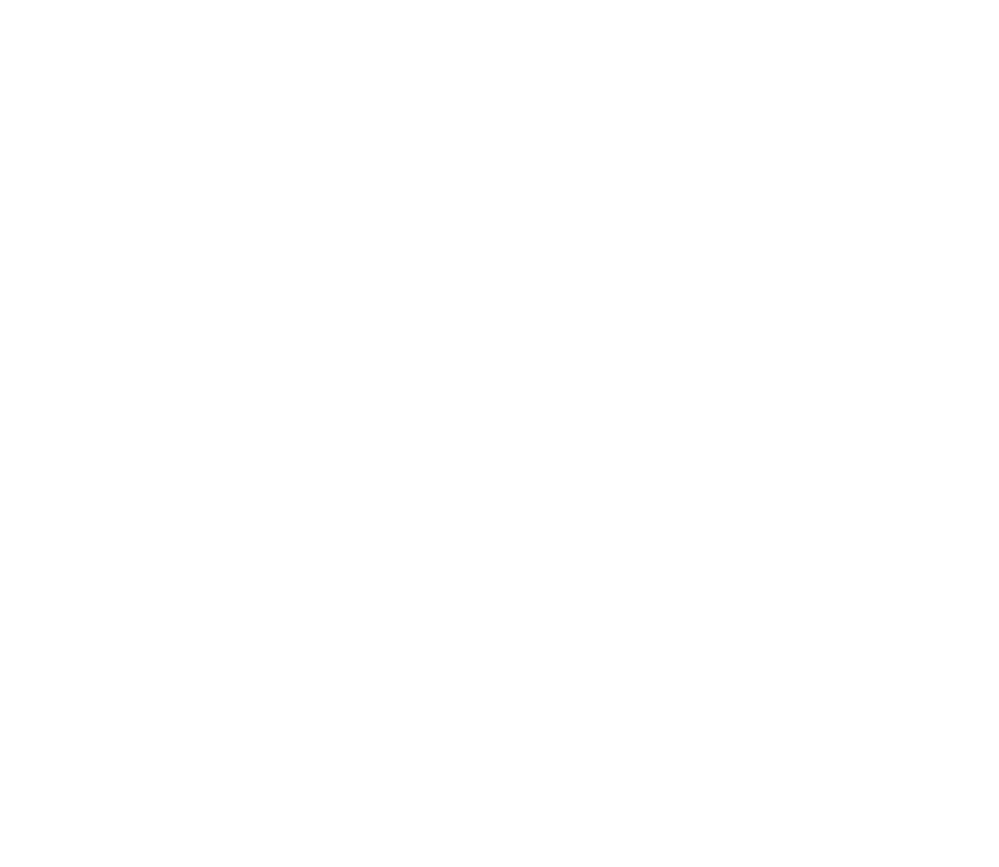 MLM Binary Plan